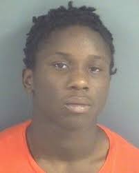 Police seek public's help finding car-theft suspect