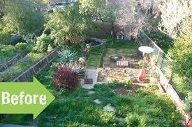 Before After Brad S Backyard Cleanup Pith Vigor Garden Makeover Outdoor Makeover Backyard Makeover