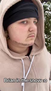 What Is The Theme of Brians Winter