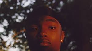 Caleb Giles: Under the Shade Album Review