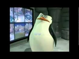 Los Pinguinos De Madagascar Nuevos Episodios Youtube