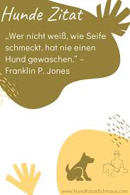 Ein hund wird dir schneller vergeben als jeder andere mensch. 35 Coole Hunde Spruche Hunde Zitate Ideen Hund Zitat Hundespruche Hunde