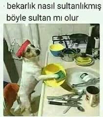 Ebubekir Siddik Onur Adli Kullanicinin Bir Damla Umut Panosundaki Pin Komik Komik Capsler Cok Komik