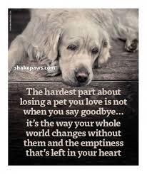 Maybe you would like to learn more about one of these? Pin On Sad Quotes