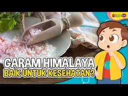 Racikan air garam himalaya ternyata memiliki banyak manfaat sehat. Mengenal Manfaat Garam Himalaya Bagi Kesehatan Tubuh Yang Semakin Banyak Digemari Youtube