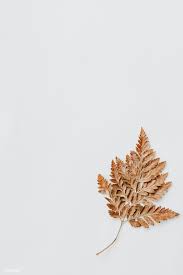 Hd wallpapers and background images. Dried Brown Leaf On White Paper Premium Image By Rawpixel Com Kutthaleeyo Brown Aesthetic Aesthetic Backgrounds Flower Background Wallpaper