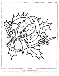 Children love to know how and why things wor. Free Printable Christmas Coloring Pages Birds Echo S Christmas Birds At Wonderweirded Wildlife Com Bird Coloring Pages Coloring Pages Winter Coloring Pages