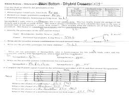 Create a punnett square to help you answer the questions. 28 Bikini Bottom Genetics Worksheet Worksheet Resource Plans