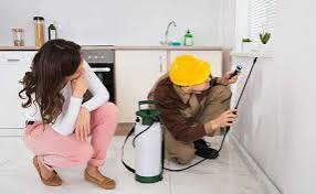 Pest Extermination Service