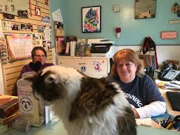 Maybe you would like to learn more about one of these? New Beginnings Animal Rescue To Close In East Brunswick