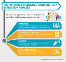 Check spelling or type a new query. What Do Judges Look For In Child Custody Cases Maryville Online