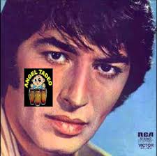 ANGEL TADEO BALLESTEROS DIAZ