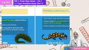 Pengelasan haiwan bertulang belakang ataupun lebih dikenali sebagai vertebrata, dikelaskan kepada 5 kumpulan yang berbeza mengikut beberapa ciri iaitu kelas ikan, amfibia, reptilia, burung dan mamalia. Topik 04 Organ Pernafasan Haiwan My E Tuition