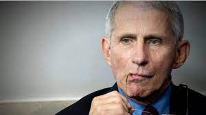 Anthony fauci fan club (@faucifan). Spotlight On Dr Anthony Fauci Video Abc News