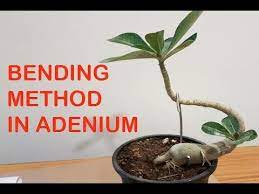 Pin On Household Gardening