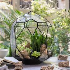 Ncyp Irregular Open Geometric Glass Terrarium Bubble Shape Etsy In 2020 Succulent Terrarium Garden Ornaments Beautiful Terrariums