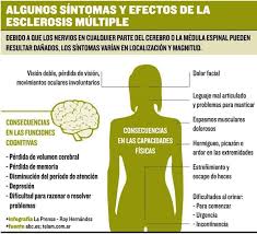 El sistema inmunitario normalmente protege al cuerpo. Antidepresivos Podrian Ayudar A Combatir La Esclerosis Multiple Psyciencia