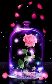 Pin By Patricia M Herrera On Eisbrecher Beast Wallpaper Love Wallpaper Backgrounds Flower Phone Wallpaper