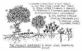 I have a farm with a lot of fruit trees planted this spring. Permaculture For Greenies