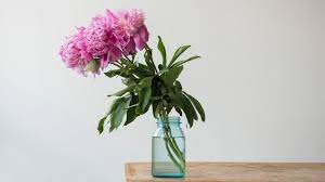 How do you make cut flowers last as long as possible? Cut Flower Preservative Recipes