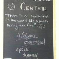 Pet care center at luna park. Pet Care Center At Luna Park Veterinarian In Seattle