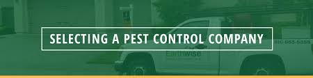 We have created a consistent, reliable, and strong work force, whereby all employees are dependent on each other. About Our Sacramento Pest Control Company Learn More Earthwise Pest Management