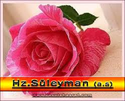 Hz Suleyman Aleyhisselam In Yaradilisi Ve Hayati Topragizbiz Com