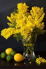 Pin On Flowers