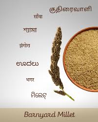 Image result for Echinochloa frumentacea