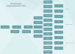 Logistic Company Hierarchy Hierarchical Structure Charts