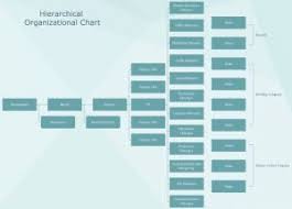 Hierarchy In Pharma Company Structure System Hierarchy