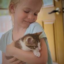 Lisa Blue Rogers (@lisablue_rogers) · Midtown kc, KS · Instagram photos and  videos