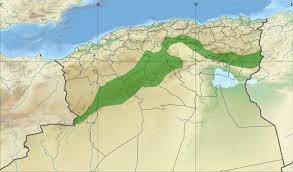 Pour freiner l'avancée du désert, l'algérie tente de relancer le projet du barrage vert dont la réalisation a enregistré des retards. Barrage Vert Wikipedia