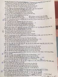 Xem ngay bảng đáp án môn thi lịch sử của kỳ thi trung hoc phổ thông quốc gia năm 2020 mã đề 323 chính xác. Yyd8y5l 9uvz3m