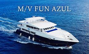 Image result for Azul 1995 Fleet