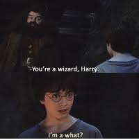And as dumbledore, you should know your way around hogwarts. New Your A Wizard Harry Memes Youre A Wizard Memes