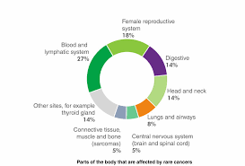 Eat well and start a routine. Rare Cancers Macmillan Cancer Support