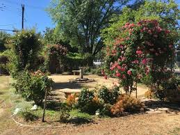 Последние твиты от tarzana, california (@tarzana_ca). 8 Things To Do In Tarzana With Kids Momsla