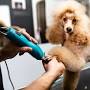 Professional dog groomer from www.akc.org