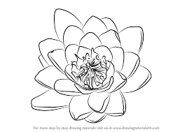 Learn How To Draw Water Lily Flower Lily Step By Step Drawing Tutorials Lilies Drawing Water Lily Drawing Flower Drawing Design