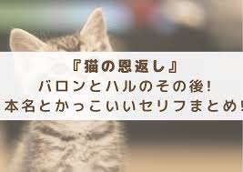 Jul 20, 2002 · 猫の恩返しの作品情報。上映スケジュール、映画レビュー、予告動画。「耳をすませば」の柊あおいによるコミック「バロン 猫の男爵」を. 0bkobclkm7scdm