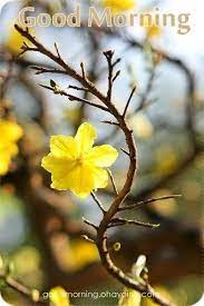 Maybe you would like to learn more about one of these? Pin On Good Morning