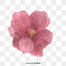 Flowers Plant Watercolor Flowers Painted Flowers Watercolor Painted Pink Clipart Painted Clipart Flower Flower Painting Flower Png Images Watercolor Flowers