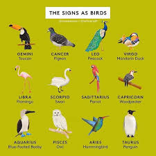 These animals probably encompass more than 90 percent of the animals used in medical research. Posted Withrepost Refinery29 If Ur A Bird I M A Bird But Are Our Signs Compatible Nationalbirdday Zodiac Signs Taurus Zodiac Zodiac Signs Animals