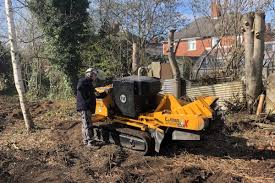 Anyone Can Grind A Tree Stump Right Treestumper Tree Stump Removal There S No Stump Too Big Or Too Small