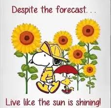 When the day feels blah, remember it's gonna be a bright, bright, bright sunshiny these bright posters are perfect to decorate any classroom, and provide a constant reminder to stand up, even if it means standing alone. Live Like The Sun Is Shining Video Snoopy Funny Snoopy Love Snoopy Quotes