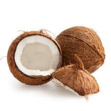 Image result for Cocos nucifera