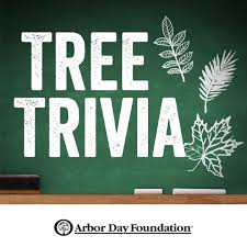 Answer this question about our latest pick, the fault in our stars by john green, for a chance to win a prize: where do hazel and augustus share their first kiss?submit your response on twitter with the hashtag #todaybookclub, and make su. Arbor Day Foundation Tree Trivia Time Can You Identify What Kind Of Tree This Is By The Clues Below 1 Eastern Or Central Us 2 Tree Has Leaves That Are Flat