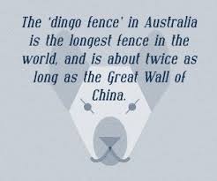 This may be to protect plants in horticulture, preserve grassland for grazing animals. The Dingo Fence Or Dog Fence Is A Pest Exclusion Fence That Was Built In Australia During The 1880s And Finished In Australia Facts Australia Australian Icons