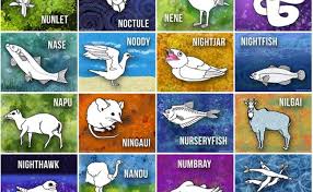 Animal Name Starting With N Cute766